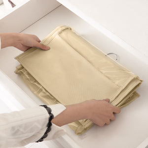 BOXJOY Beige Handbag Organizer