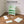 BOXJOY Plastic 5 Shelf Green Shoe Rack - Green Door Pack of 1